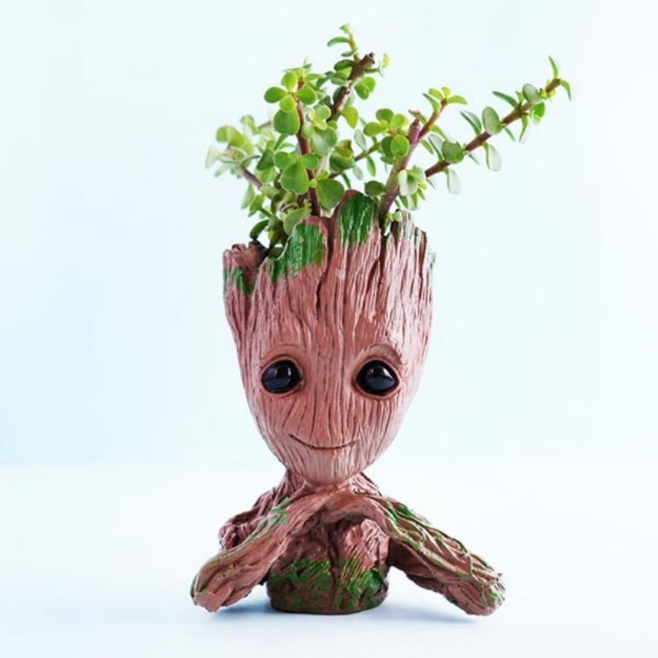 Jade Plant with Groot Pot