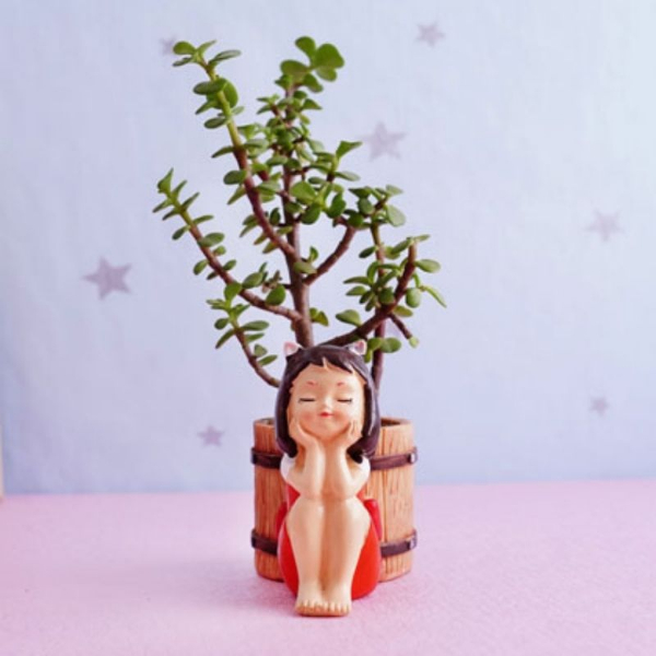 Jade Plant with Little Angel Pot