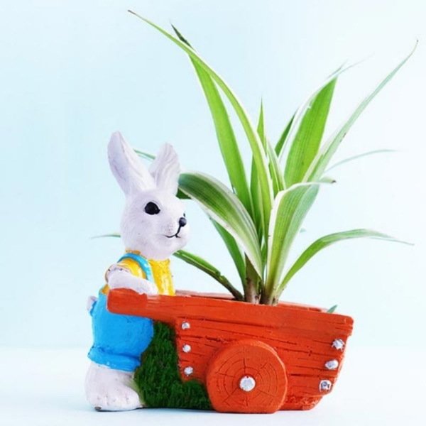 Spider Plant in Bunny Designed Pot
