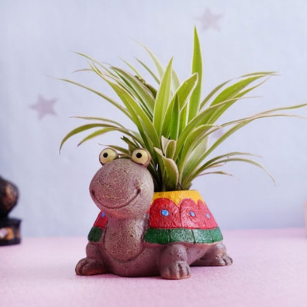 Spider Plant with Baby Turtle Pot