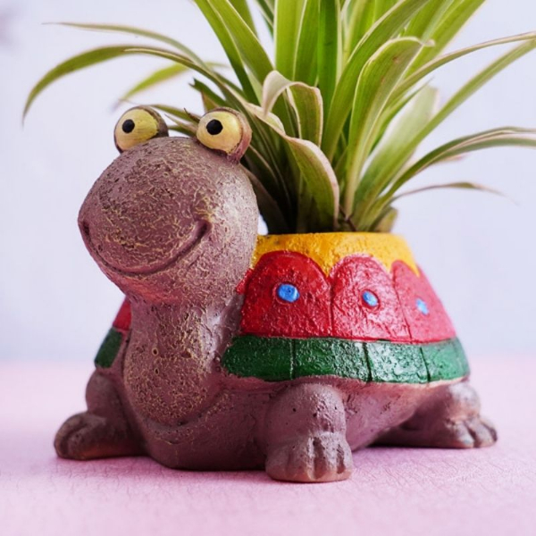 Spider Plant with Baby Turtle Pot