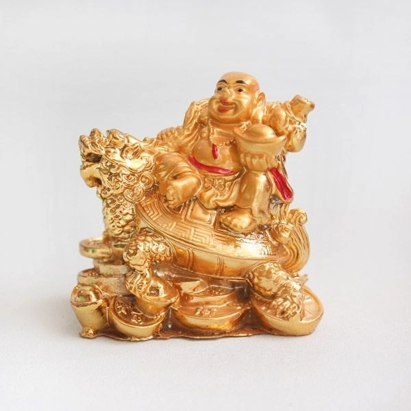 Lucky Jade Plant & Laughing Buddha Combo