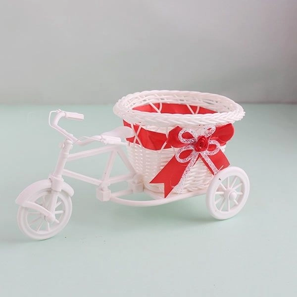 Ficus Compacta Plant with Cycle