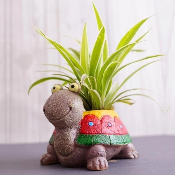 Gift for Him - Unique & Thoughtful