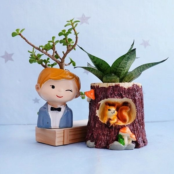 Jade Plant with Snake Plant in Designer Pots