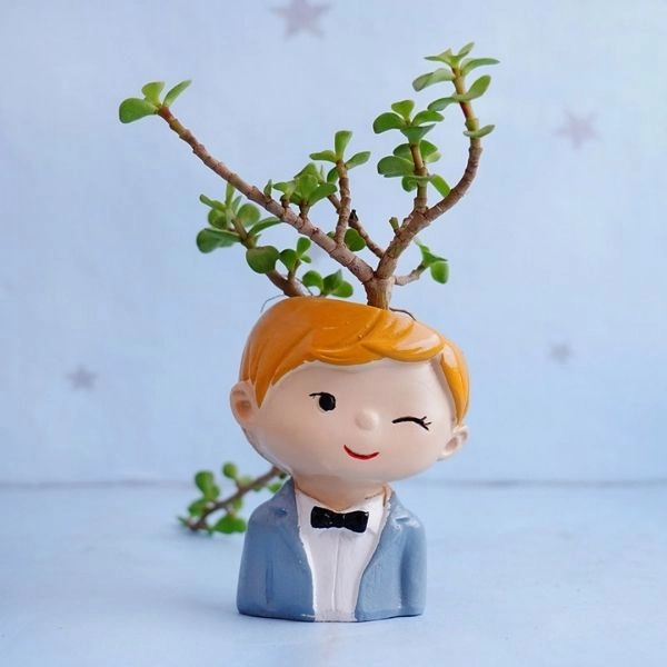 Jade Plant with Snake Plant in Designer Pots