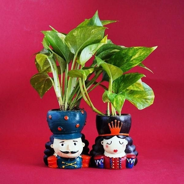 Two Money Plant with Couple Designed Pot - Unique Anniversary Gifts