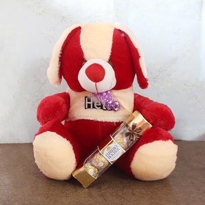 The Sweet Hello Teddy