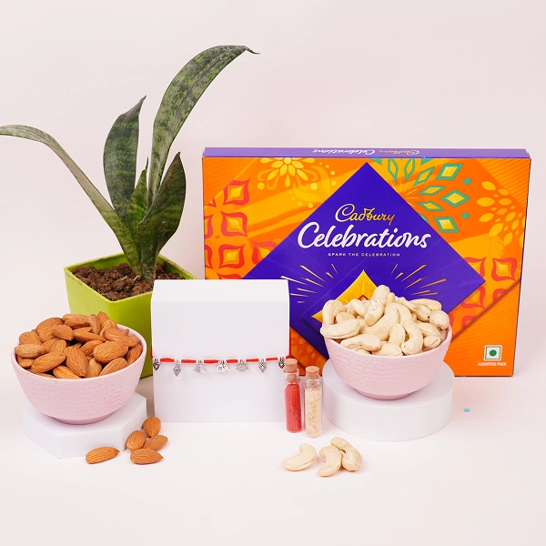 Luxury Rakhi Gift Combo with Dry Fruits, Celebration Pack