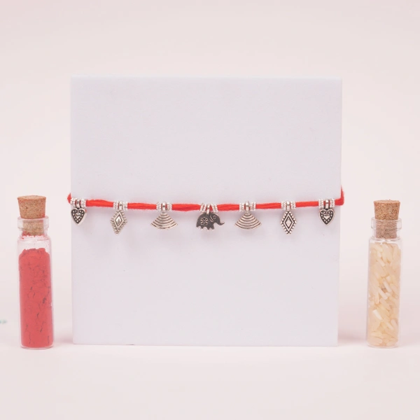 Luxury Rakhi Gift Combo with Dry Fruits, Celebration Pack