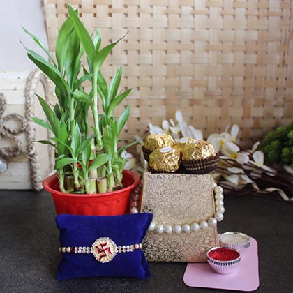 Sophisticated Rakhi Chocolate Combo