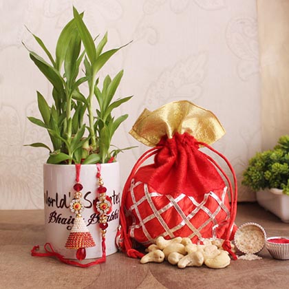 Blissful Rakhi Combo