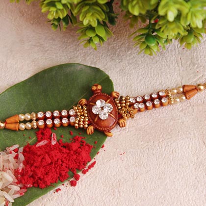 Divine Surprise of Raksha Bandhan