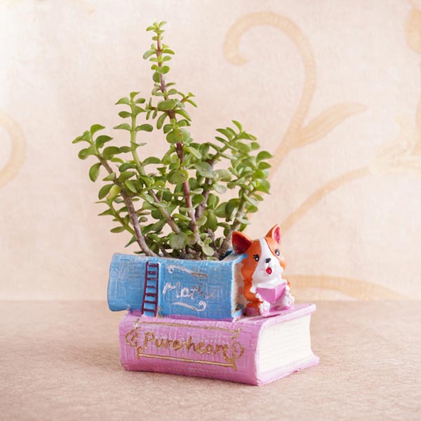 Silver Ganesha Rakhi with Jade Plant Combo