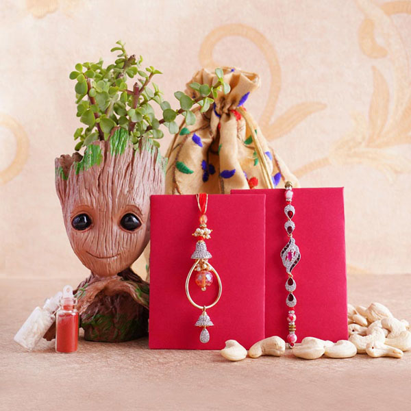Bhaiya Bhabhi Rakhi with Jade Plant Combo