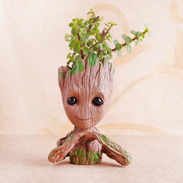 Bhaiya Bhabhi Rakhi with Jade Plant Combo