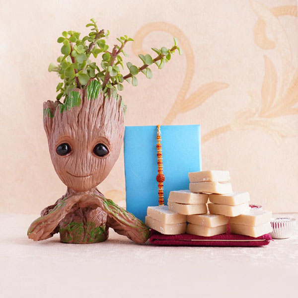 Rudraksha Rakhi with Jade Plant and Kaju Barfi