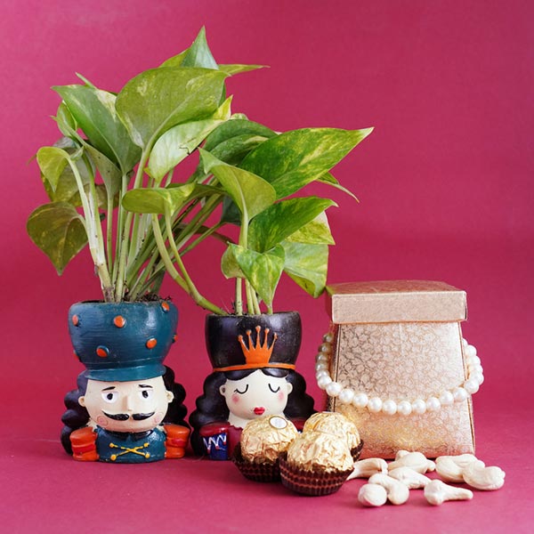 Bhaiya Bhabhi Rakhi with Money Plant Hamper