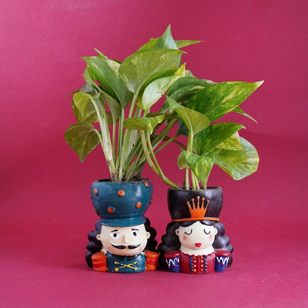 Bhaiya Bhabhi Rakhi with Money Plant Hamper