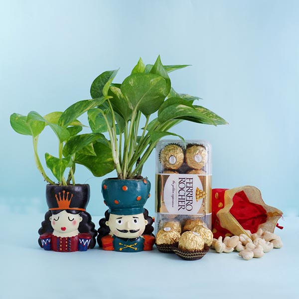 Couple Rakhi with Money Plants and Chocolates Combo