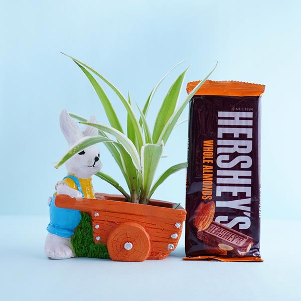 Ganesha Rakhi with Spider Plant and Chocolates
