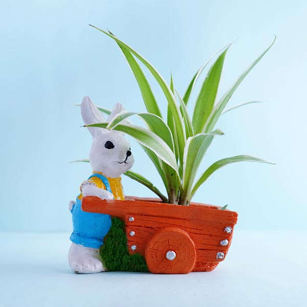 Ganesha Rakhi with Spider Plant and Chocolates
