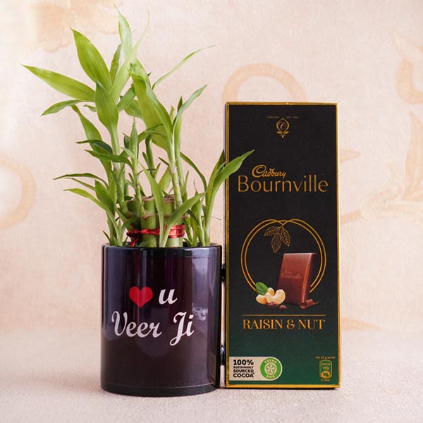 Bro Rakhi with Lucky Bamboo and Bournville Chocolate