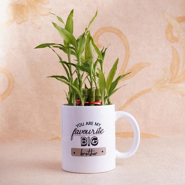 Designer Rakhi with Lucky Bamboo and Snicker Chocolate