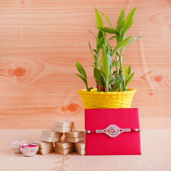 Silver Rakhi with Lucky Bamboo and Kaju Barfi