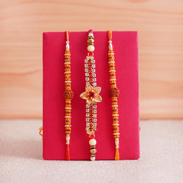 Set of 3 Rakhi with Plants and Chocolates