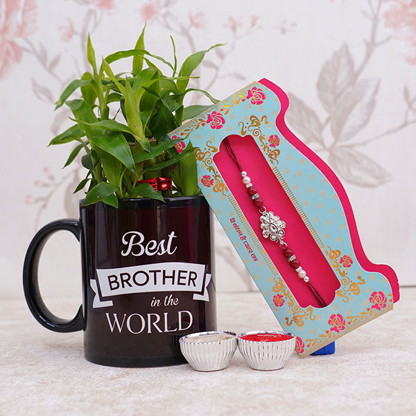Stone Rakhi with Mug and Lucky Plant