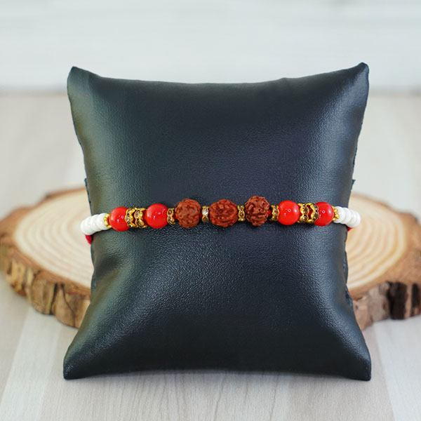 Rudraksh Rakhi with Jade Plant Combo