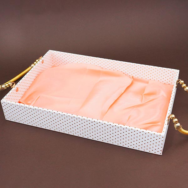 Dried Fruit Slices with Chocolates in a Tray