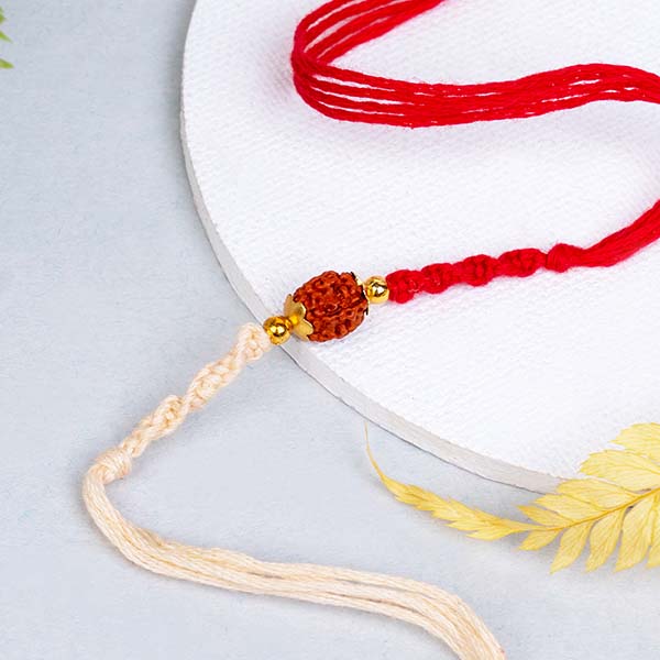 Set of 2 Unique Rakhi for Brothers